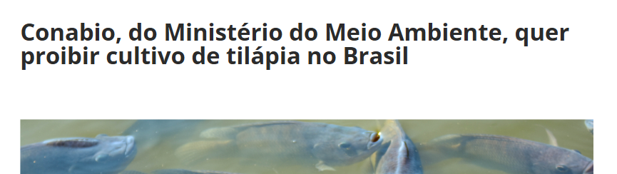 Combater o crime? A corrupção? Não, a PEIXES!
Está pronto um projeto de minha autoria para reconhecer, em todo o território nacional, a atividade de cultivo da espécie Oreochromis niloticus (tilápia) como de relevante interesse social, econômico e alimentar, integrante da cadeia