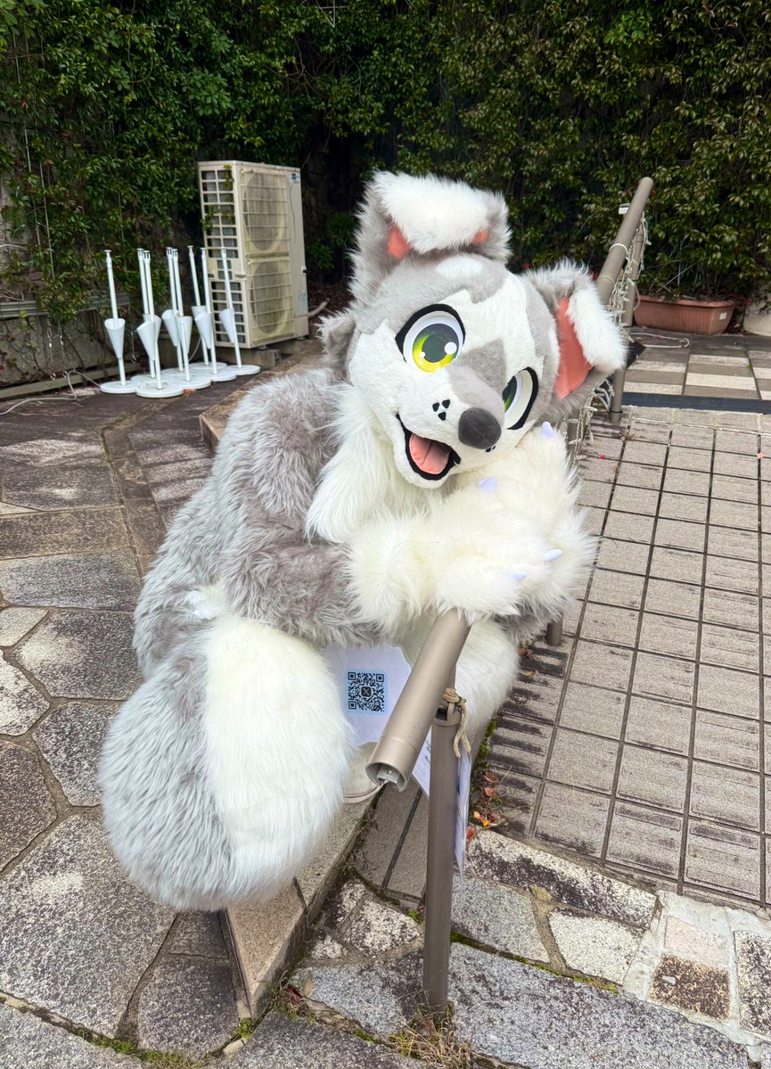 くぅん君かわいい❤️わんわん🐶
#kemocon18