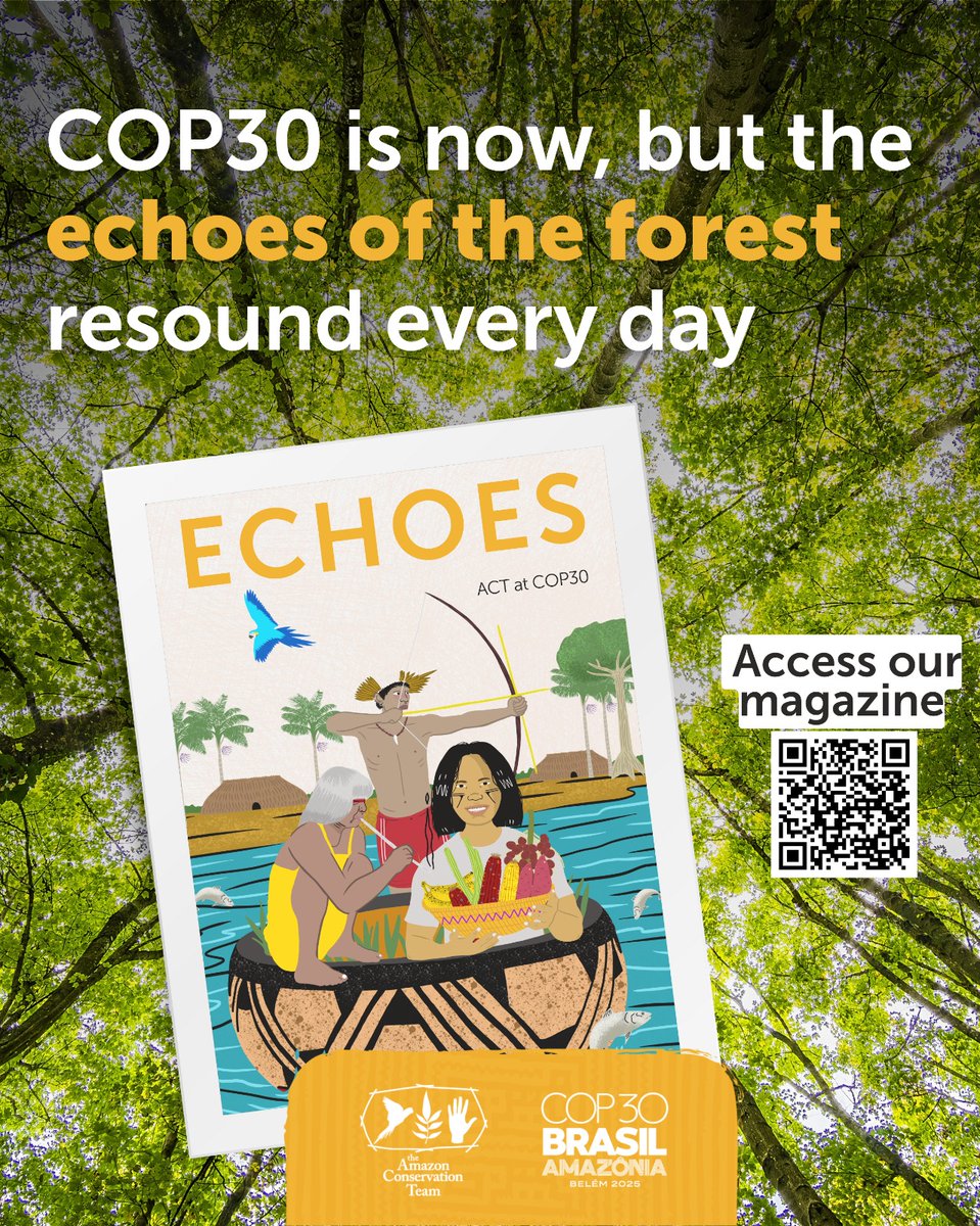 AmazonTeamOrg's tweet image. COP30 is here, but the echoes of the forest resound every day.

Read ECHOES, ACT’s digital magazine for COP30 — with articles on forest health, Indigenous rights, and protecting communities in isolation.

Available in English, Portuguese, and Spanish: amazonteam.org/echoes-magazin…