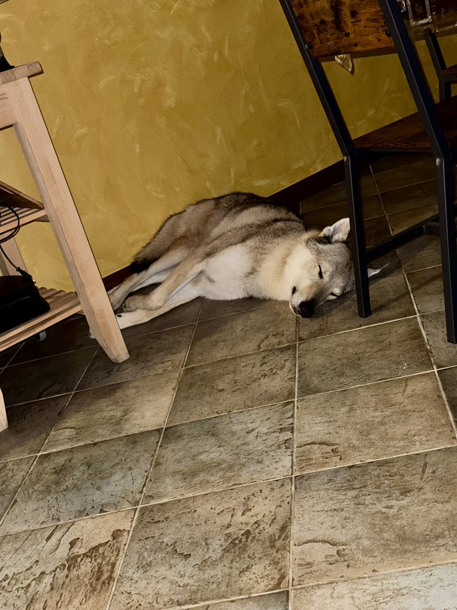 🆃🅰🅿🅿🅸 🅳🅴🅸 🆃🅾🆂 tweet media