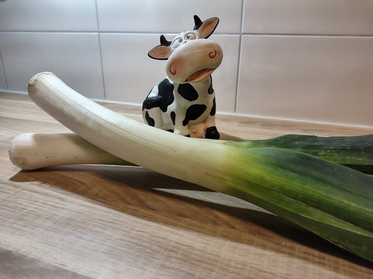 Duurzaam Actueel tweet media