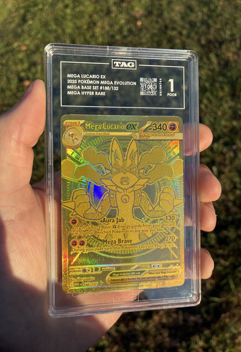 TheDamagedPokemonCollector tweet media