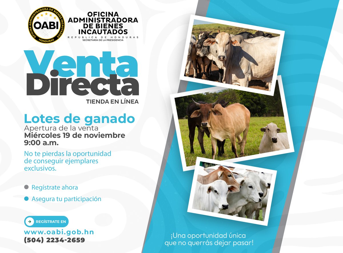 #LaNuevaOABISiCumple | Aprovechá esta gran oportunidad 👉 Venta Directa de Lotes de Ganado a través de nuestra tienda en línea 🌐 oabi.gob.hn
📅 Miércoles 19 de noviembre | Desde las 9:00 a.m.
⚠️ Solo para participantes registrados. ¡Registrate hoy!