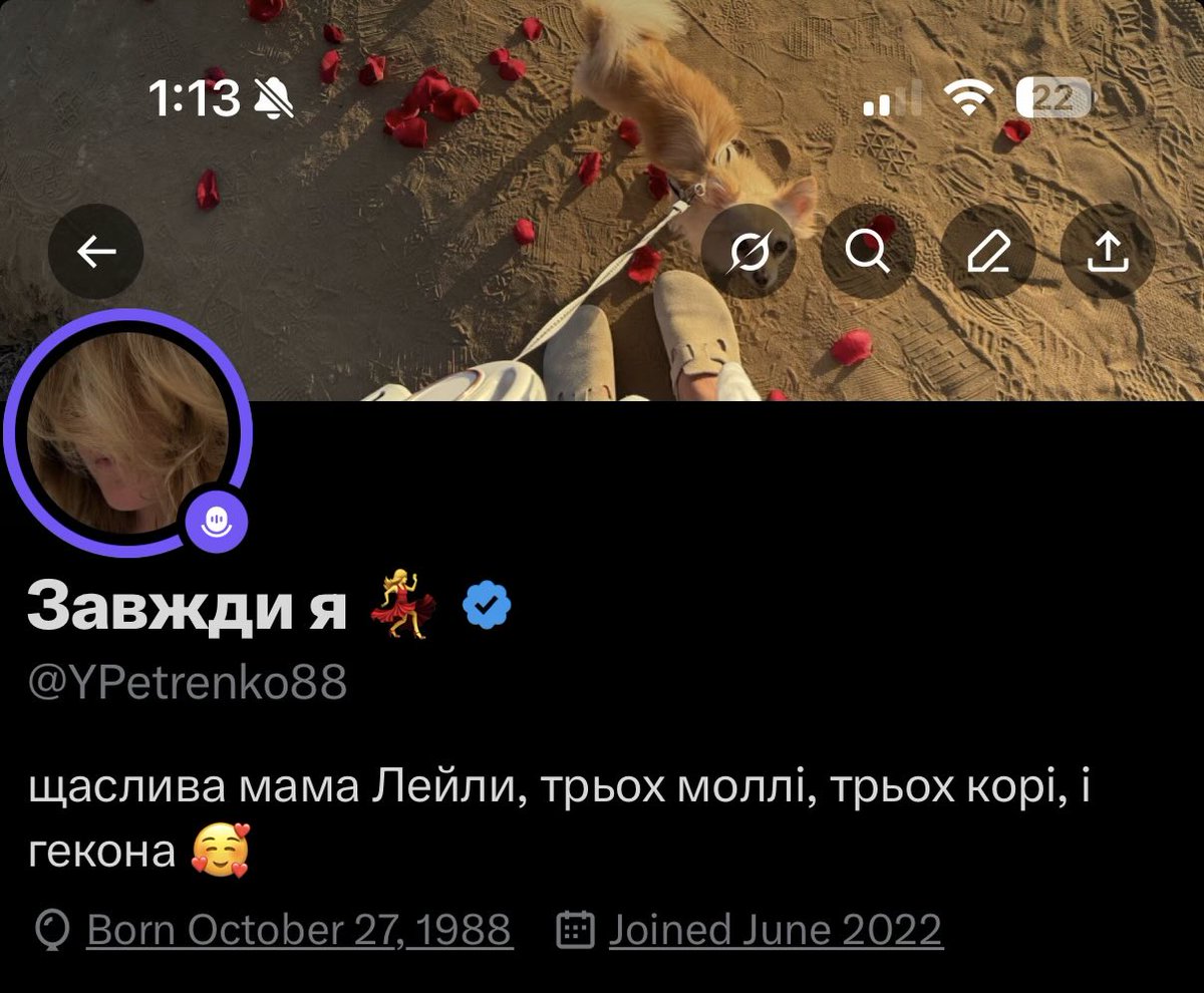 Заєбала я 💃 tweet media