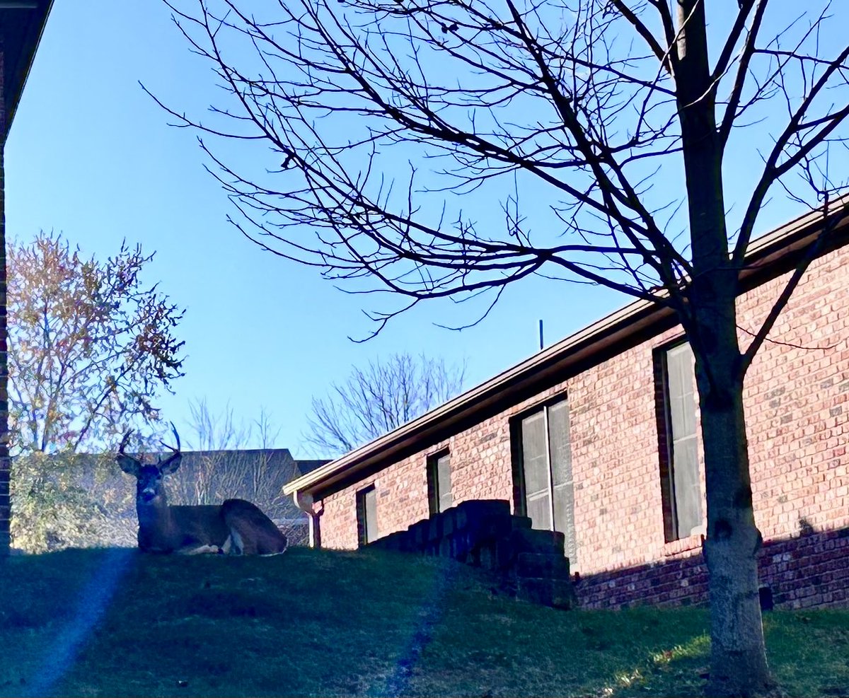 The buck stops here!