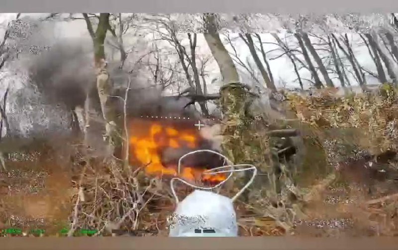 LostWar Bot tweet media
