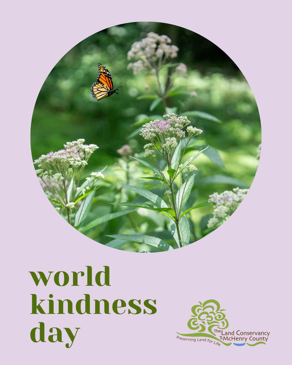 The Land Conservancy tweet media