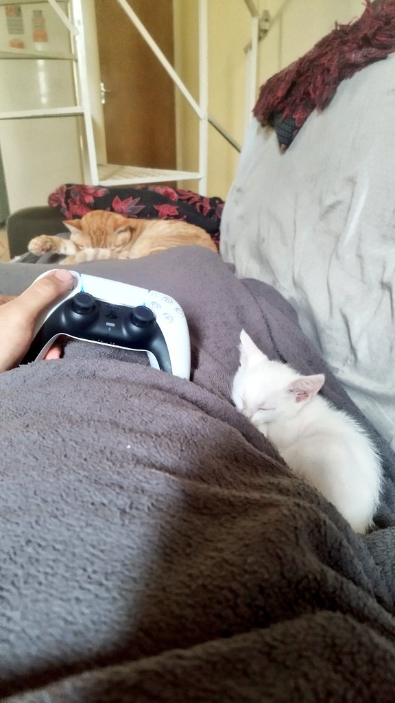 satisfeito demais com a vida que levo...