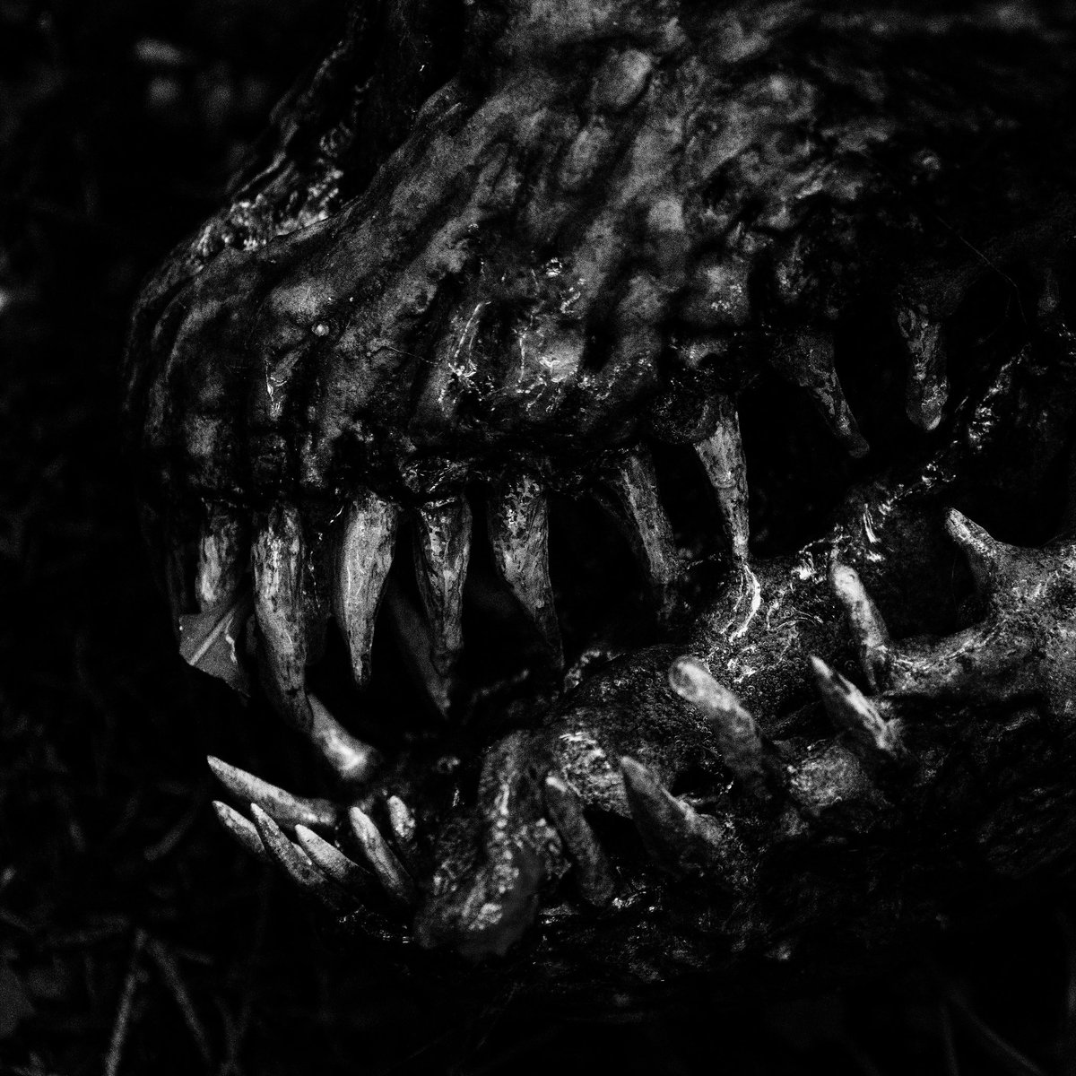 Anacondaz tweet media