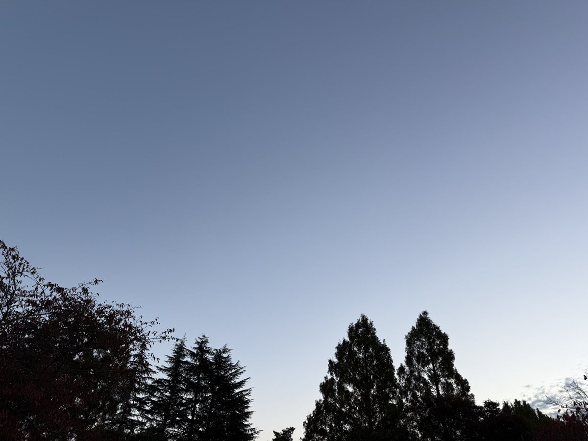 MSP_PiPi_san's tweet image. おはようございます☀
#イマソラ #ランニング #朝ラン #マラソン