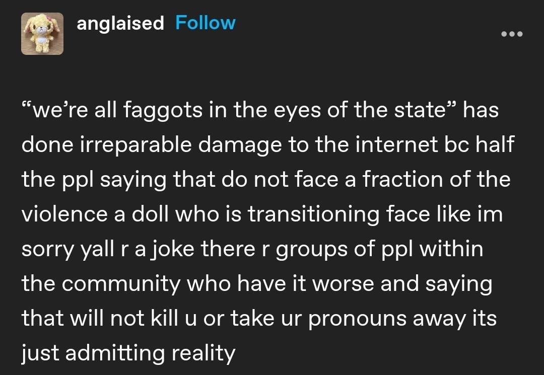 AisSkeet's tweet image. @-ing everyone who says this whenever someone points out that transsexuals are having our rights to medical transition ripped away from us and we should stop that from happening