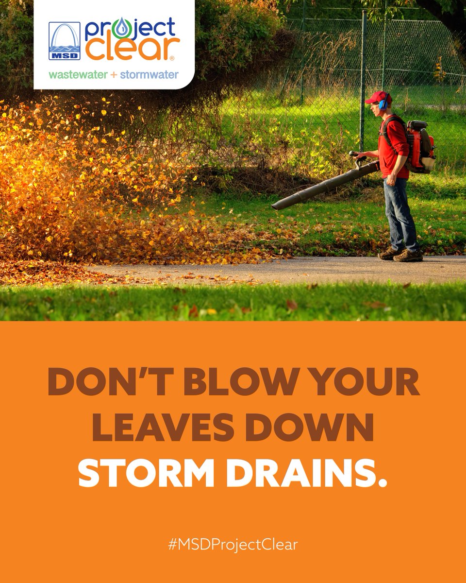 MSDProjectClear's tweet image. Leaves and yard waste don’t belong in storm drains! 🍂 They can clog systems, harm wildlife, and pollute our water. Help protect our streams and creeks. Please bag it, compost it, but don’t blow it down the drain.