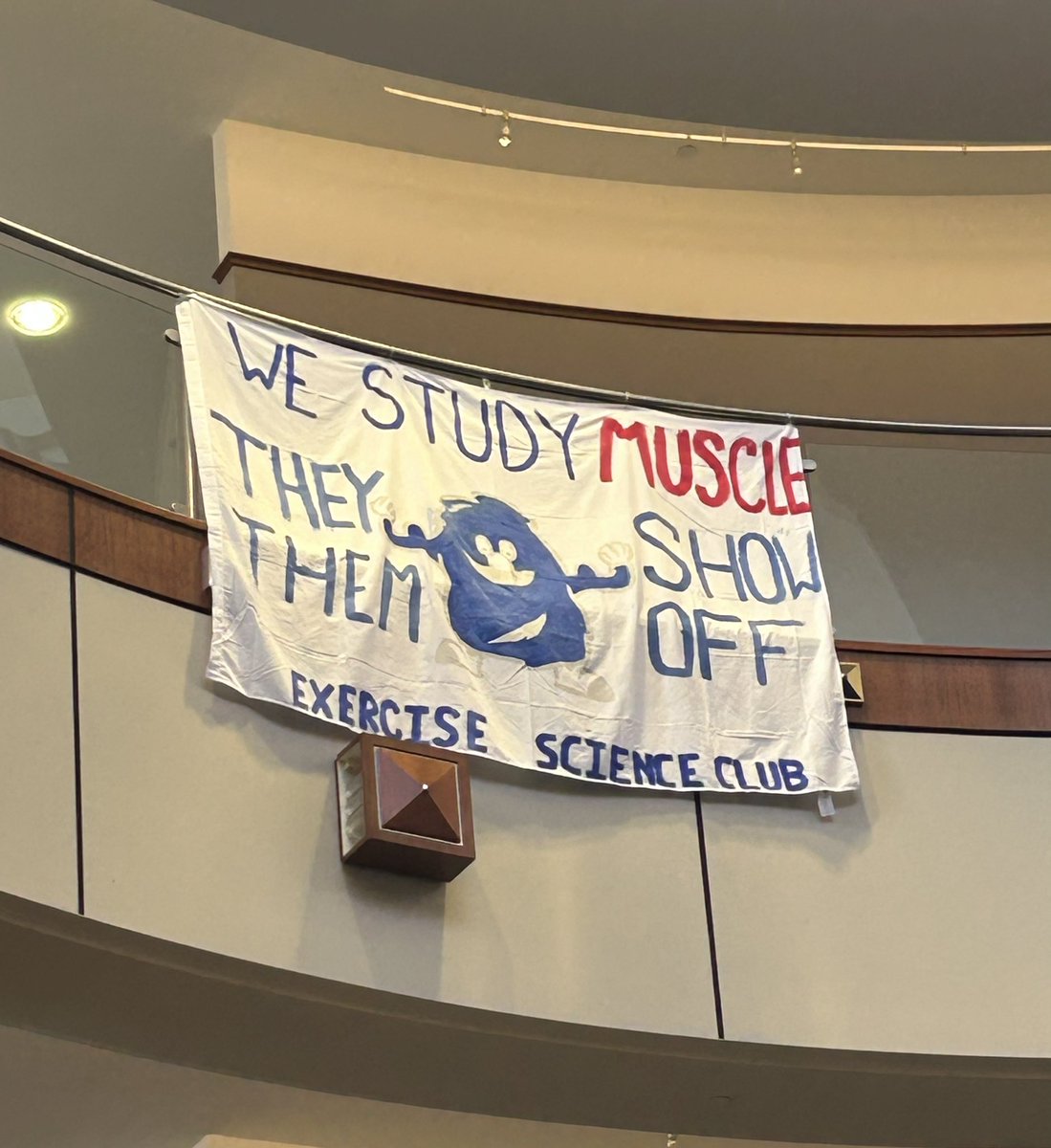 ryanmfconwell's tweet image. What exactly takes place in a they/them show off? #exercisescience