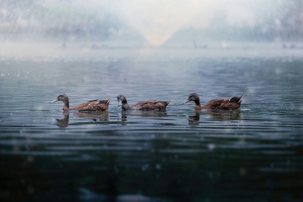 Building tomorrow’s leaders today skipprichard.com/building-tomor… #leadership #HR #succession