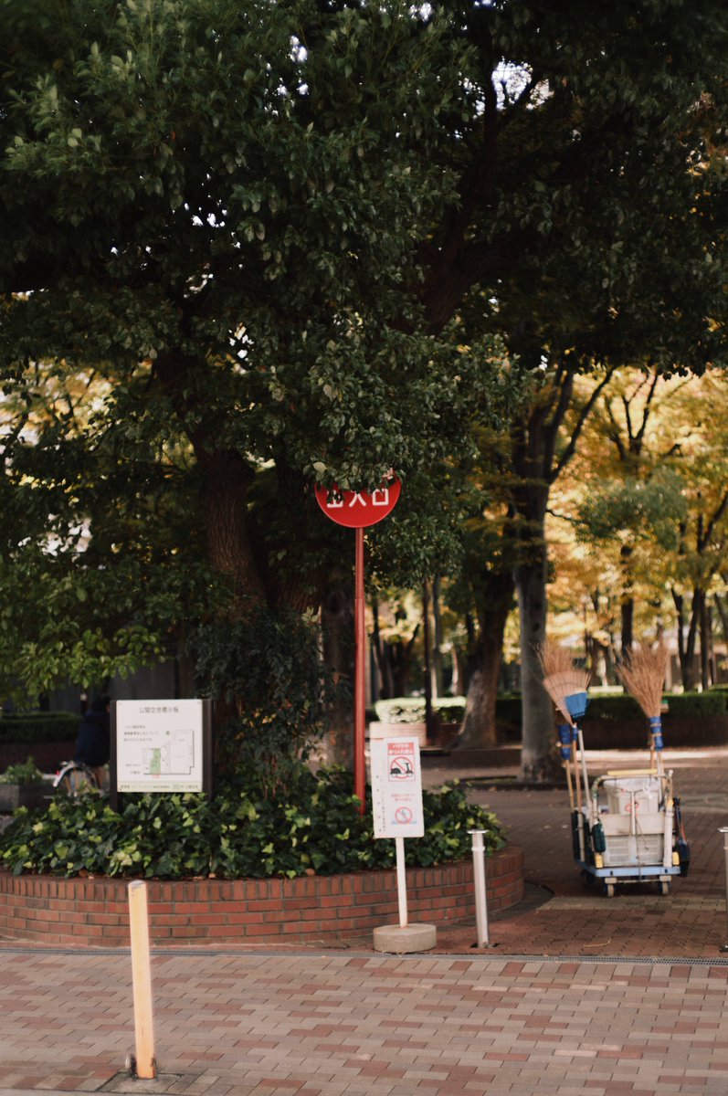 Ocha (@ocha_bnw) on Twitter photo 