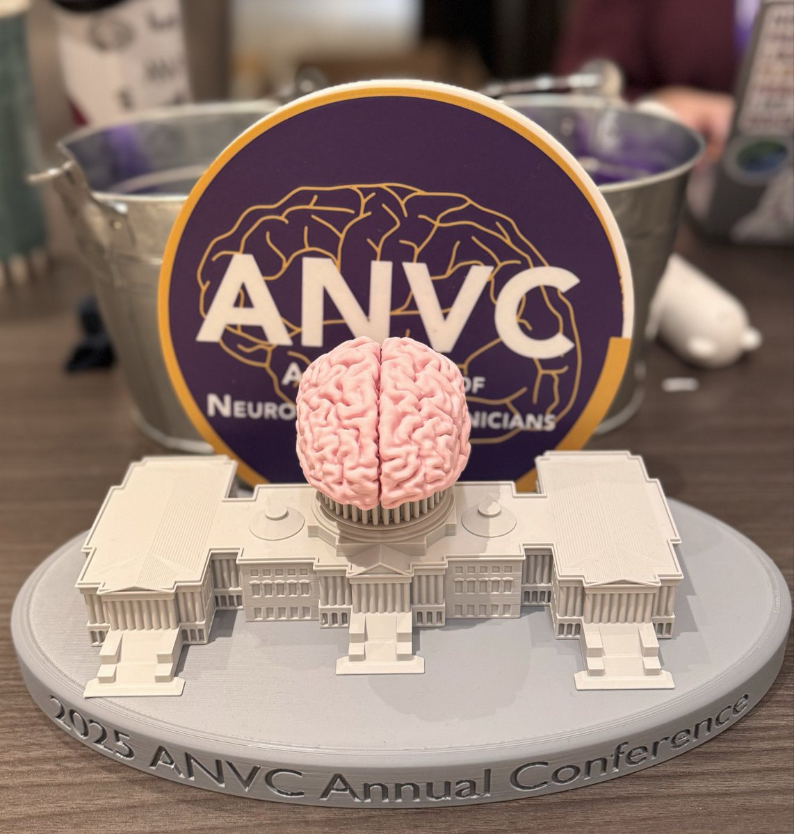 We are in Washington D.C for our annual <a href="/ANVC__/">Association of Neurovascular Clinicians</a> conference! Can’t be here? We have created a virtual option and there is still time to register! Go to: anvc.org today! 
#becausestrokepatientsdeservenothingless #strokecare #stroke #ANVC25