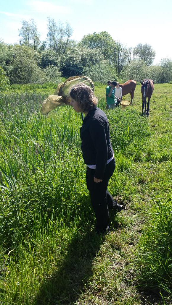 Erik Svensson tweet media