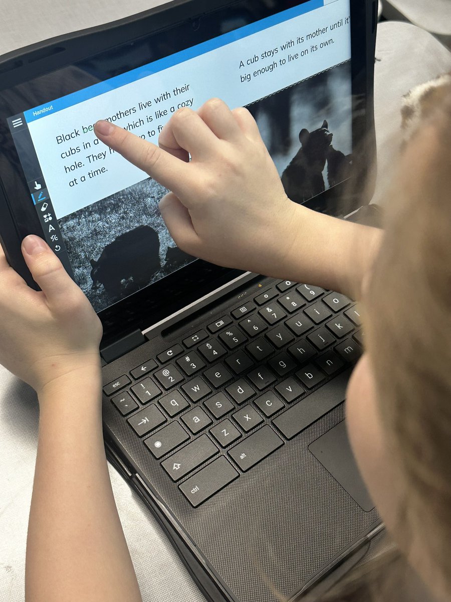 Courtney Schiurring tweet media