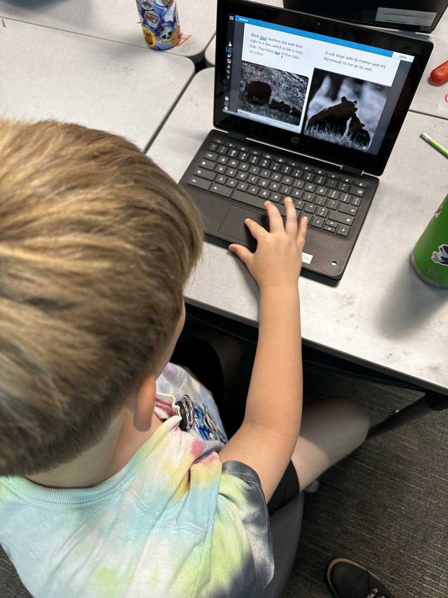 Courtney Schiurring tweet media