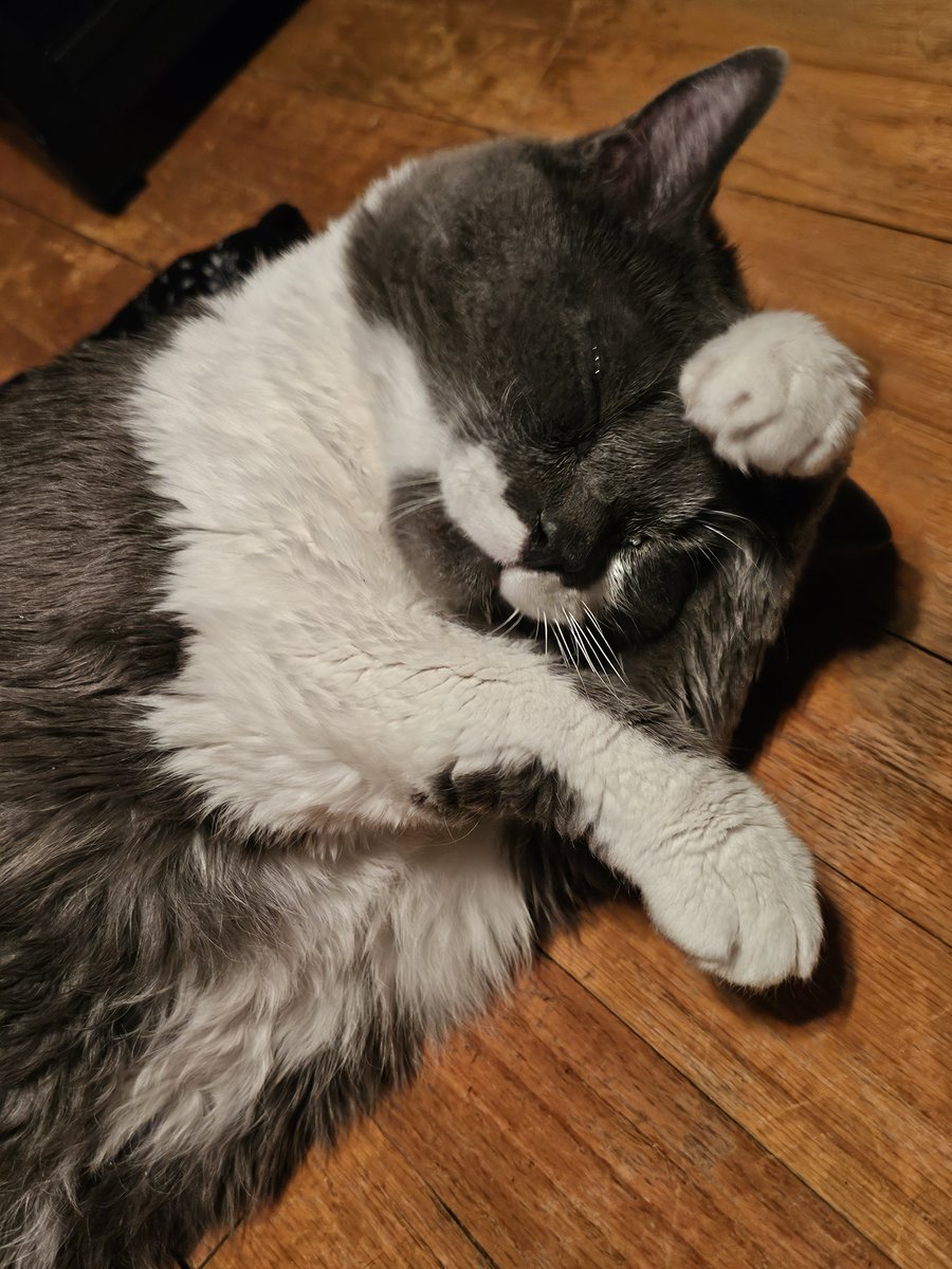 MissKittyMay tweet media