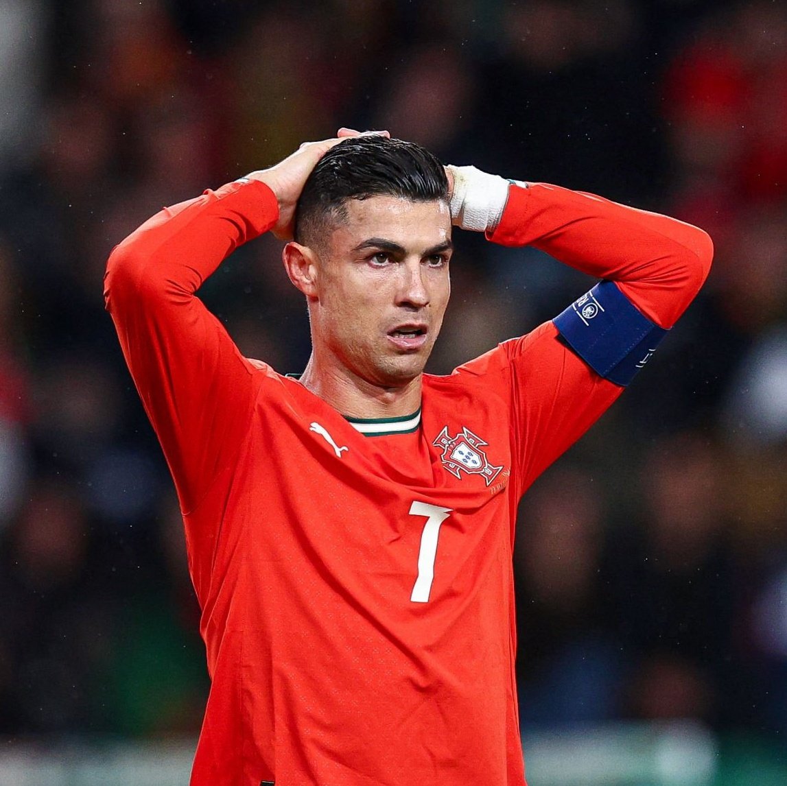 Gil Vicente Info tweet media