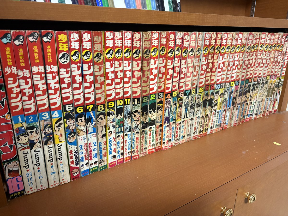 御存知の方も多いと思いますが ジャンプには2種類あります 「少年