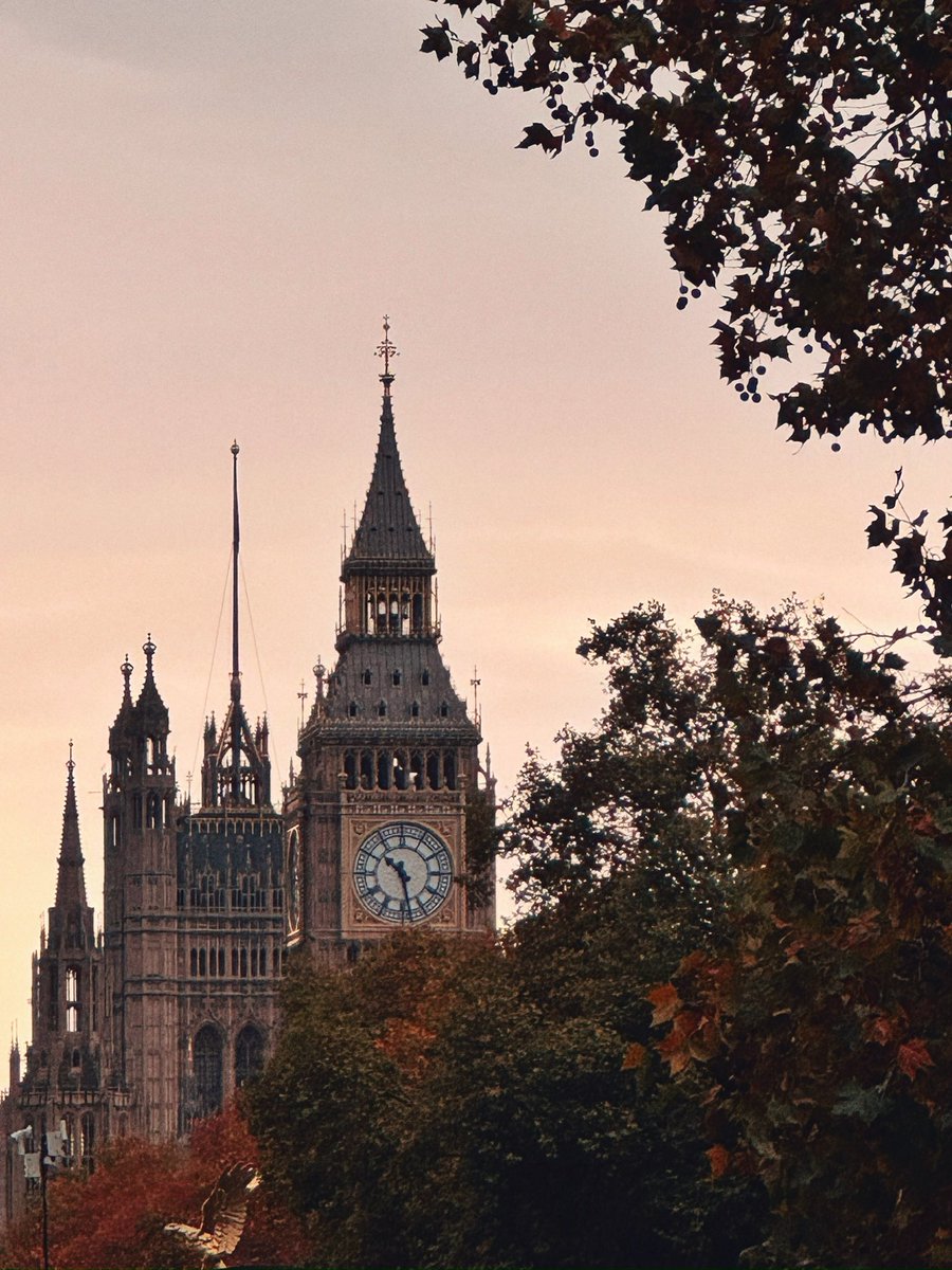 Autumnal colours on the Embankment