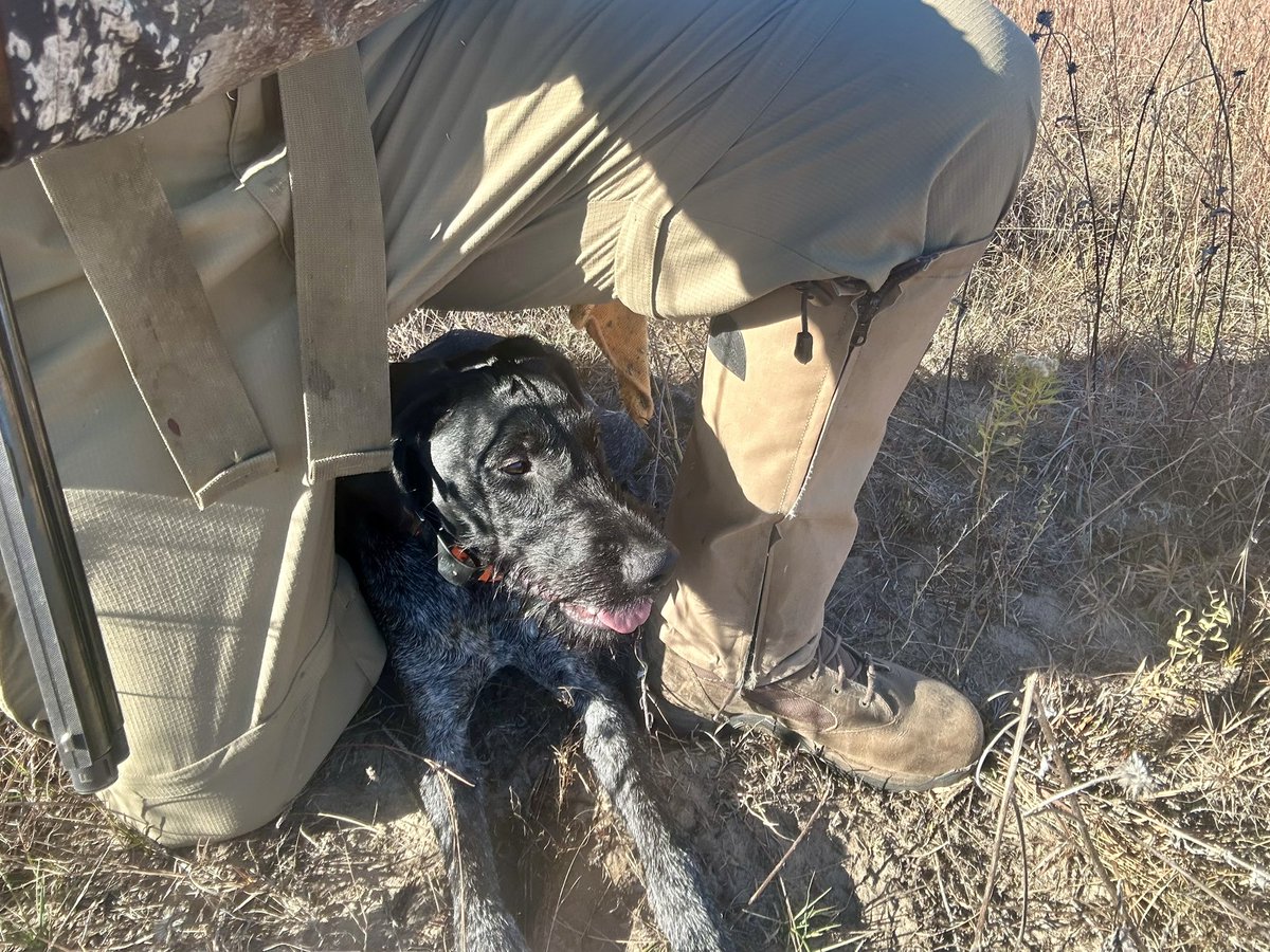 It was hot today! Take shade wherever you can find it 🤣
