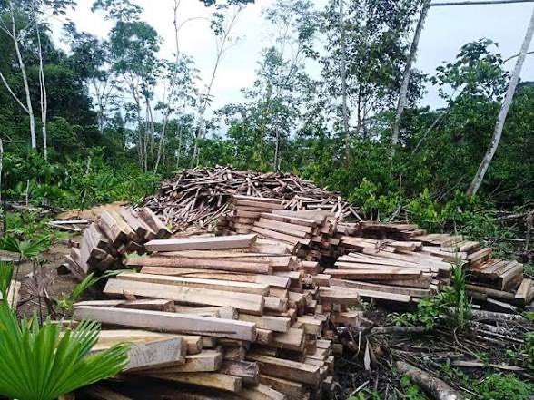 This is the green scam. The offshore wind industry literally destroys third world countries’ ecosystems so that Western European countries can build massive, inefficient, unsustainable wind turbines. And it’s nothing more than virtue signaling for the global elite.