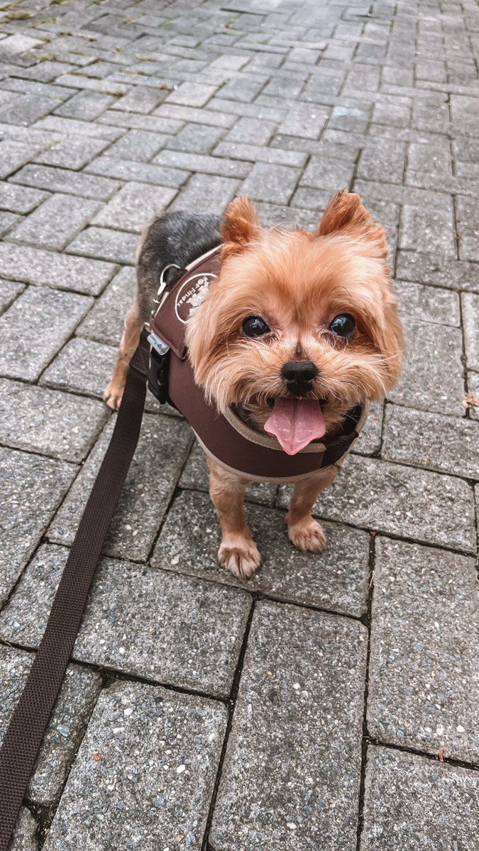 Victor Garcia tweet media