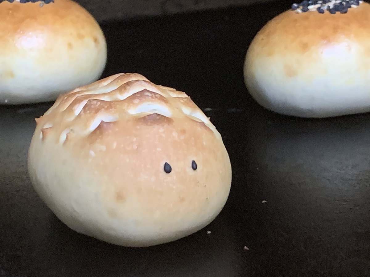 冷えますね…
今日も【１０時開店】予定です🍞