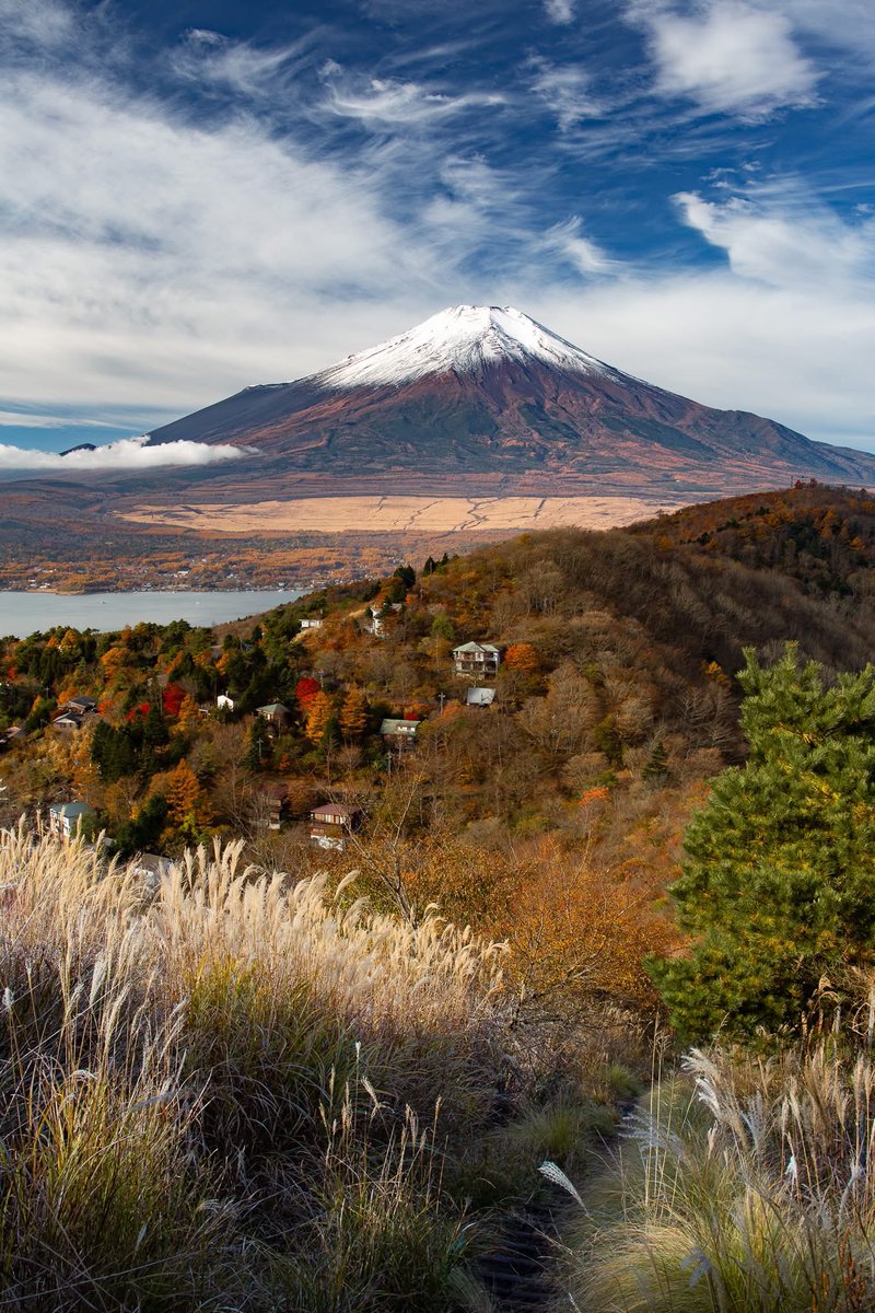 皆さん、おはようございます😺
今日も✨よろしくお願いします
今朝も快晴ですね早朝は寒いですね
良い一日をお過ごし下さい☕️