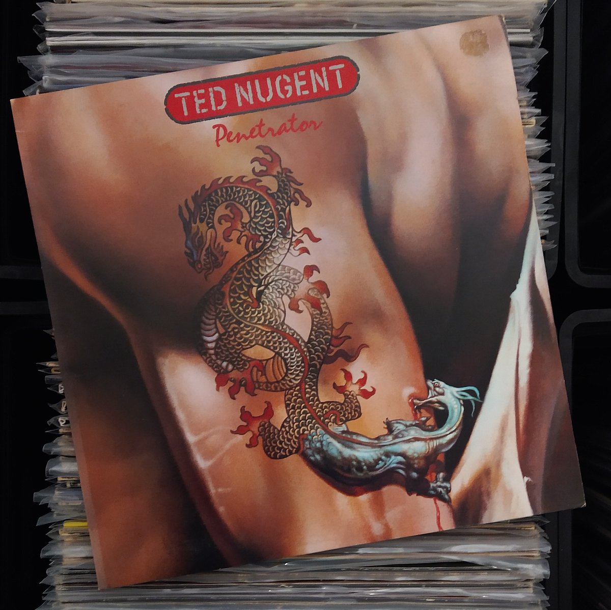 OcoWax's tweet image. Spinning - #TedNugent #NowPlaying #vinylcommunity #vinylrecords