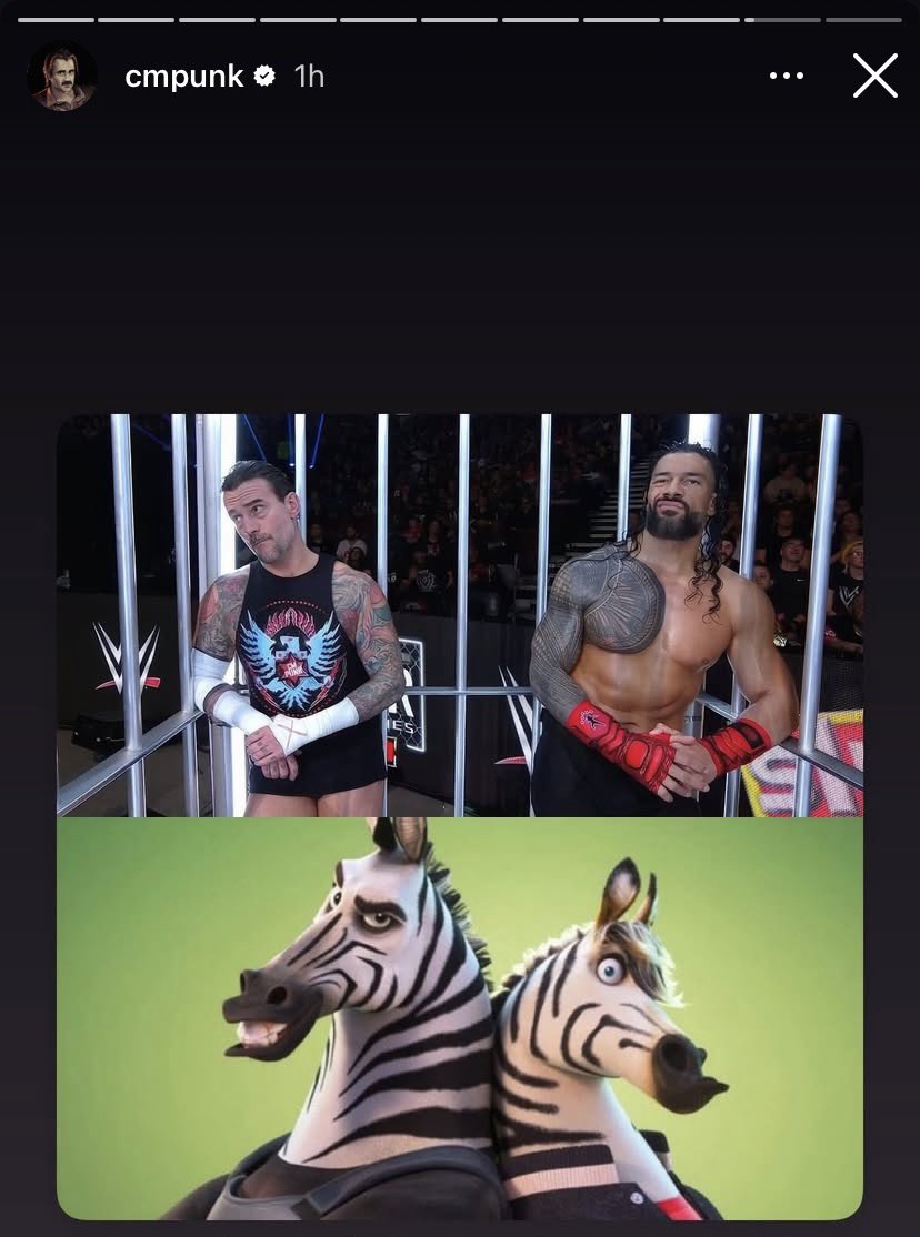 CM Punk IG story with his Zebro Roman Reigns 😂