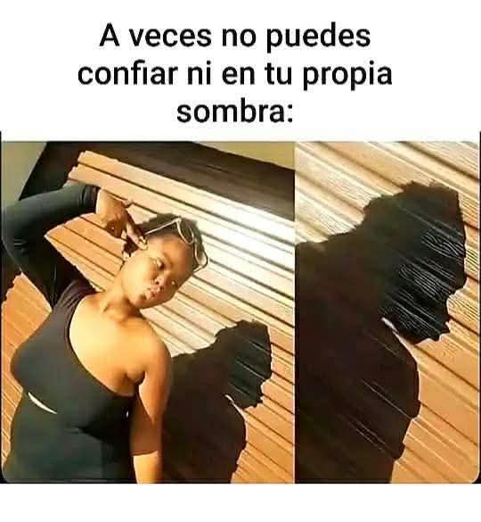 TuzitaMemeX (@tuzitaxtuitera) on Twitter photo 