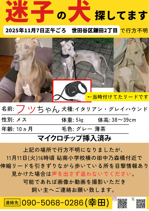 ひろみ (@hcat0501) / Posts / X