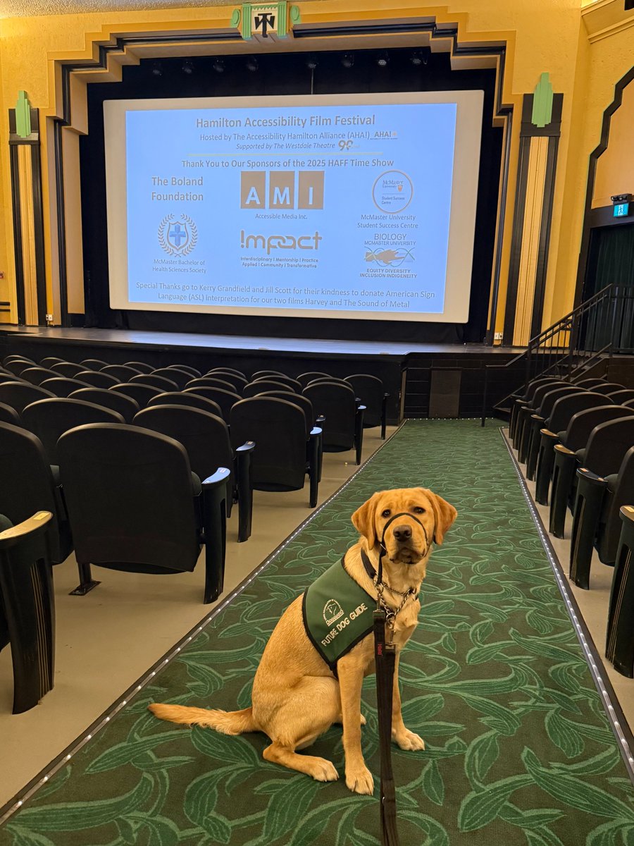 Accessibility Hamilton Alliance tweet media