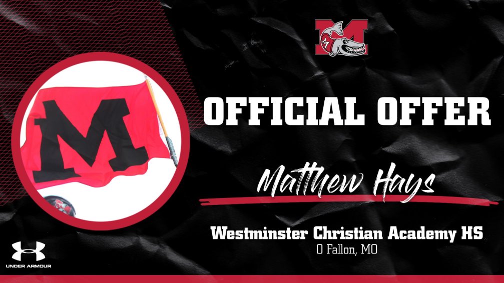 Matthew Hays tweet media