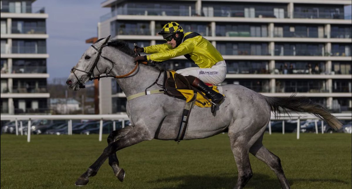 Richardlewisevans tweet media