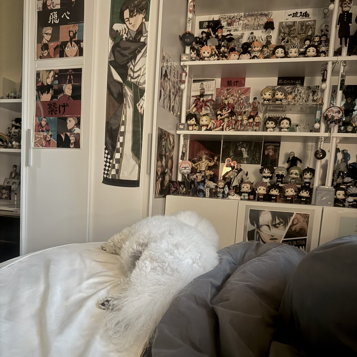 __avgo's tweet image. 💤💤