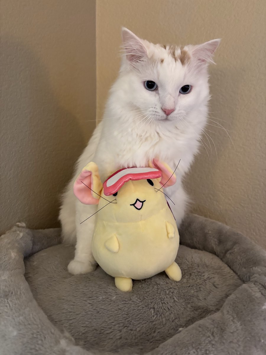 removeanime's tweet image. 