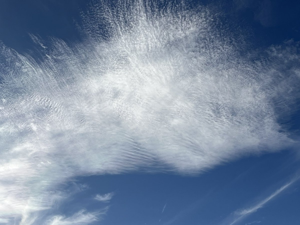 Infinite Plane Society (IPS) (@ipsthinktank) on Twitter photo 