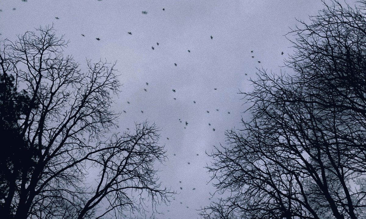 studio ghibli (@gardenofghibli) on Twitter photo 