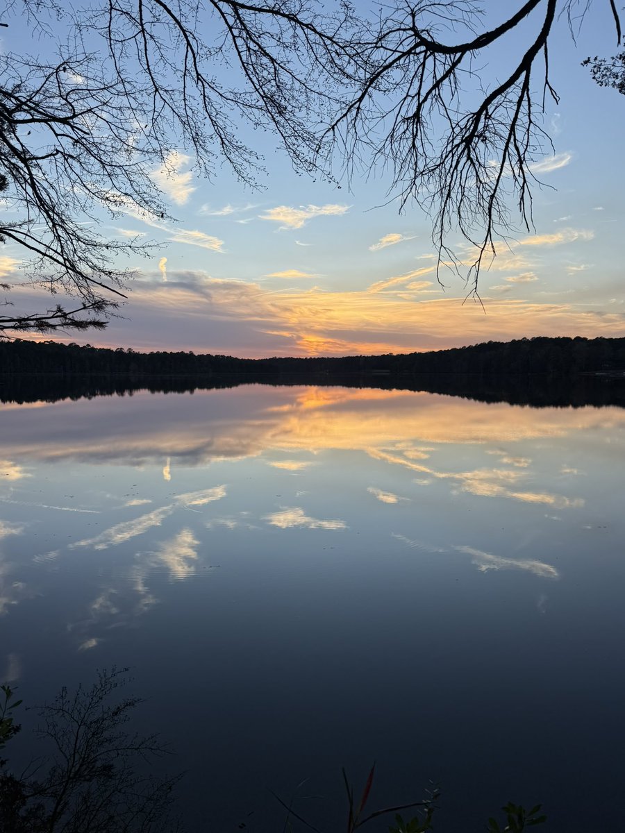 mbloveroadtrips's tweet image. Vibrant colors over Lake Juniper as the sun sets in Cheraw South Carolina. Check out my cheery little visitors in the trees.