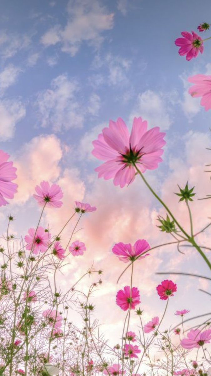 おはようございます☕🌿
𓂃𓈒

がんばれと言ってほしくないのは
がんばっているからです

もっとがんばれ！
ではなく

『がんばれ』という言葉が、
言霊としてあなたの心に伝わったなら
生きる活力となるでしょう

大切なあなたへ届けたい…
『がんばれ』

𓂃𓈒
(^^)ｺｺﾛ💕

皆様💐素敵な１日を🍀🕊️