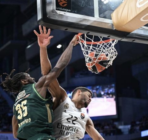 GProgrammer13's tweet image. Και τώρα έλα στο ΟΑΚΑ MANIMAL🔥☘️🔥
#paobc