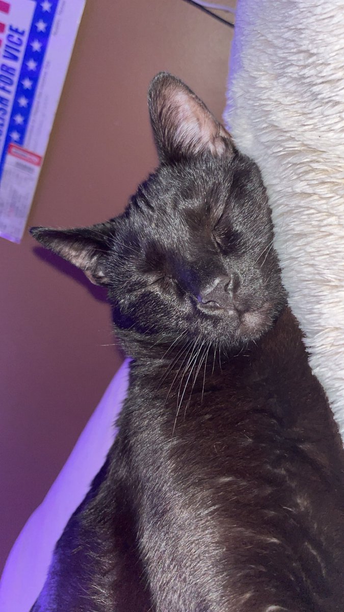 He’s just so precious🩷🩷🩷😍