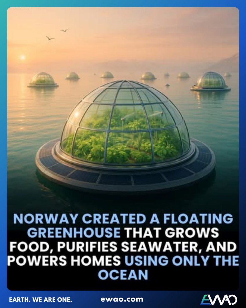 Norway has introduced floating greenhouses—self-sustaining structures that grow food, purify seawater, and generate energy using the power of the ocean. This innovation offers a glimpse of a future where sustainability and technology work together to tackle food security and