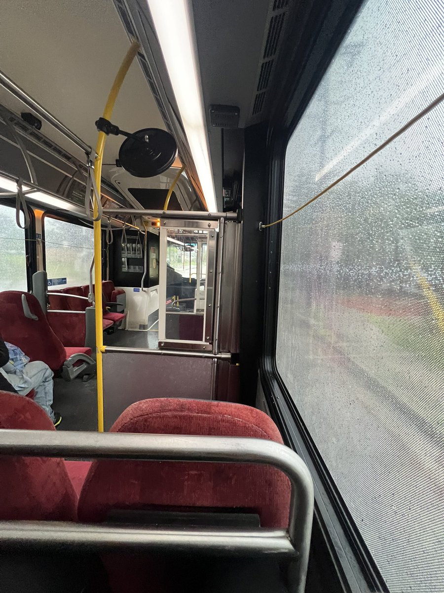 Rainy Californian fall days make for the nicest walks.