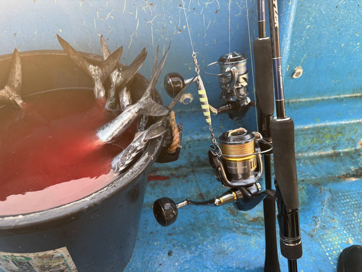 クーラー満タン20オーバー😇
これだけ持って帰ると
ぜったい嫁に叱らるわ〜💦